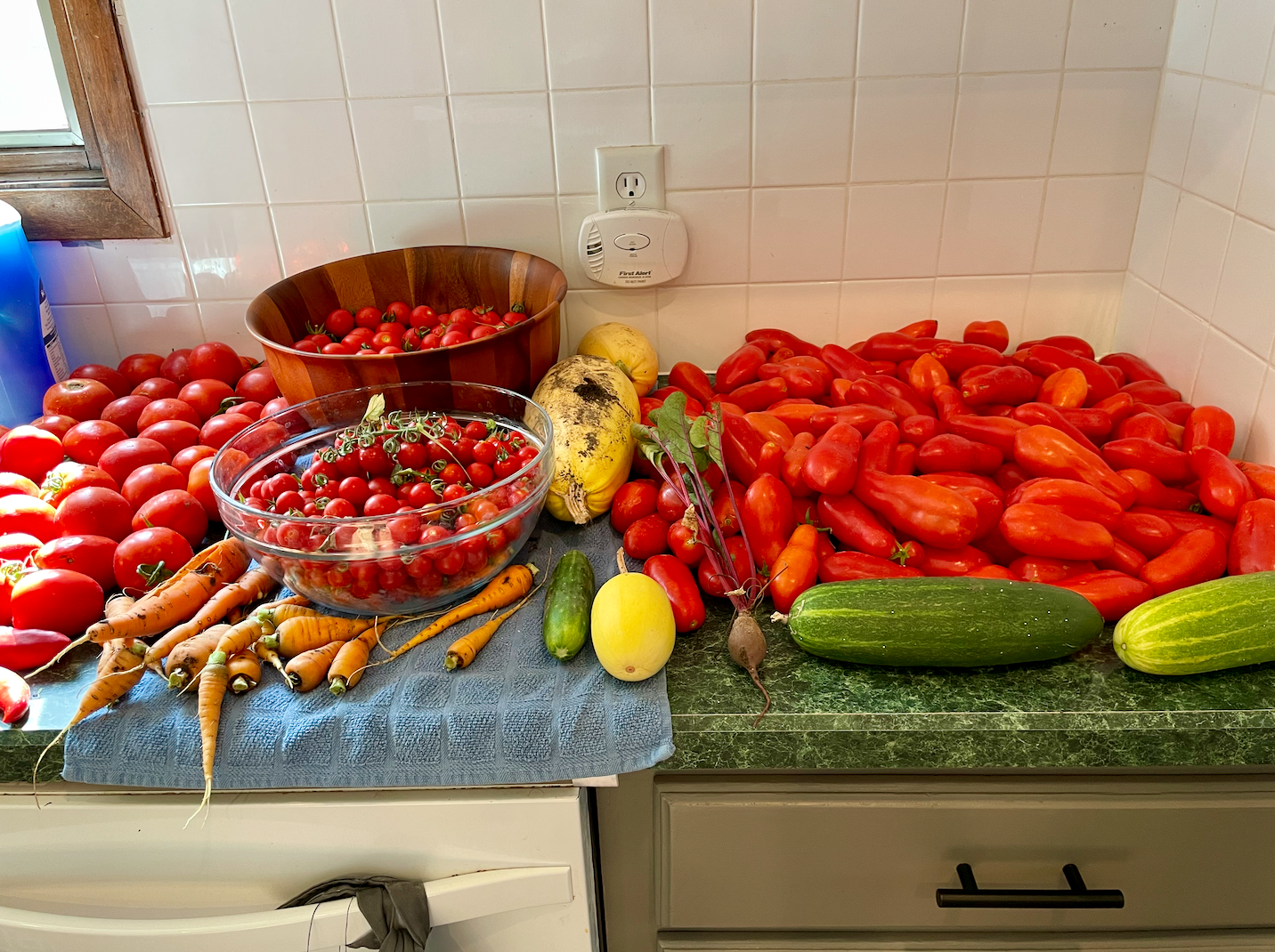 Recipes Using Garden Tomatoes