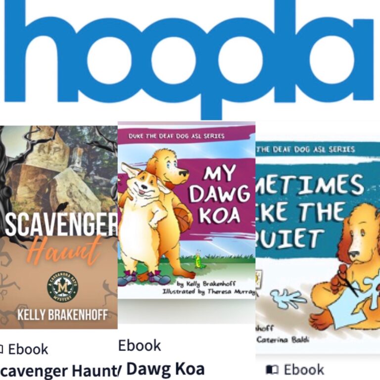 hoopla books