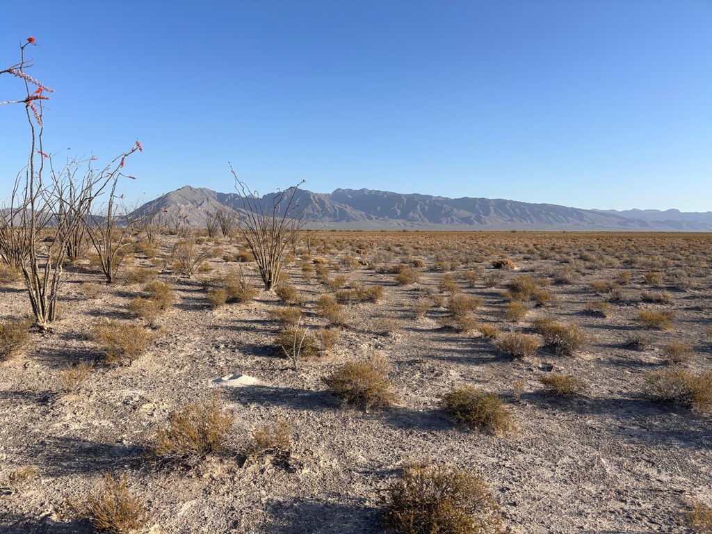 Mission Trip to Cuatro Ciénegas: Arriving When the Mission Has Already Started